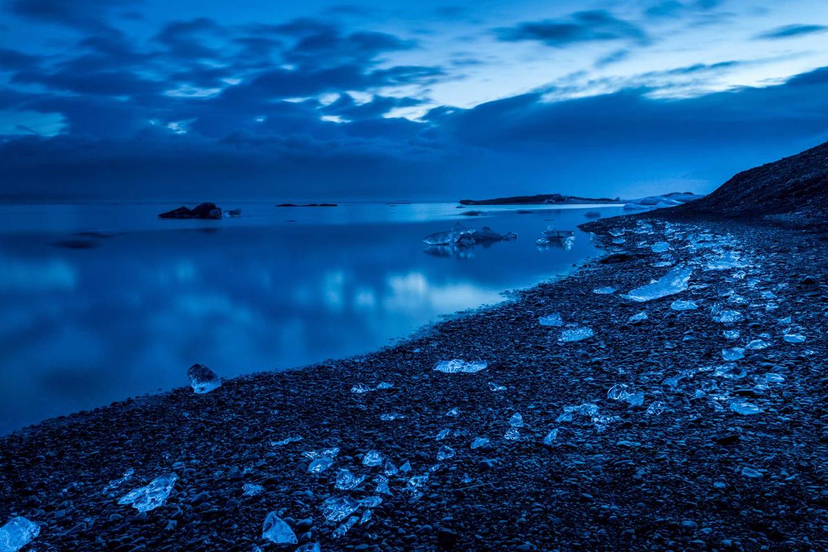 반려견 고메 다이닝